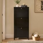 Charlie 3 Door Shoe Cabinet - Noir Black