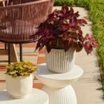 Hemsby 160 x 230cm Outdoor Rug - Paprika - Image 5