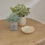 Imogen Chalked Mango Wood Coffee Table - Image 5