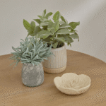 Kew 17cm Acorus Calamus In Ceramic Pot - Image 2