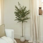 Kew Olive Tree in Cement Pot - 157cm
