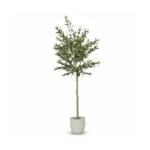 Kew Olive Tree in Cement Pot - 157cm - Image 5