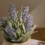 Kew Lavender Plant in Cement Pot - 18cm - Image 3