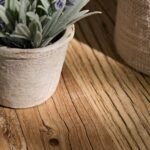 Kew Lavender Plant in Cement Pot - 18cm - Image 4