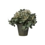 Kew 24cm Arachis Flower In Paper Mache Pot - Image 4