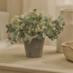 Kew 24cm Arachis Flower In Paper Mache Pot