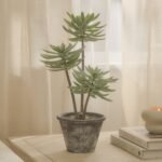 Kew 48cm Succulent In Paper Mache Pot
