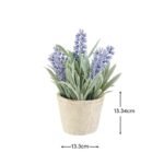 Kew Lavender Plant in Cement Pot - 18cm - Image 6