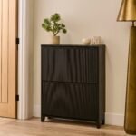 Raleigh 2 Door Shoe Cabinet - Black