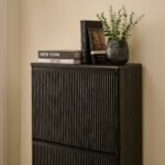 Raleigh 3 Door Shoe Cabinet - Black - Image 5