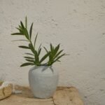 Suma 21.5cm Terracotta Vase - Off White