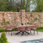 Amelia 8 Seater Wooden Garden Dining Set with 8 Hali Pink Chairs - White Acacia with Black Legs