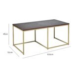 Jay Walnut Coffee Table - Gold Frame - Image 5