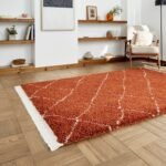 Willow Shaggy Tasselled Diamond Rug - Image 73