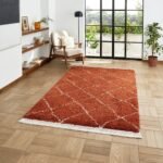 Willow Shaggy Tasselled Diamond Rug - Image 72