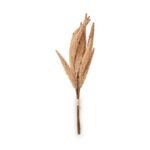Natural Apricot Dried Flower Bunch - Image 7