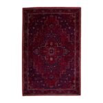 Lansing Traditional Patterned Rug