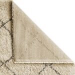 Webster Diamond Two Toned Rug - Image 7