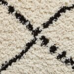 Webster Diamond Two Toned Rug - Image 53