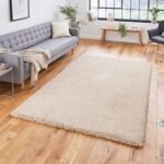 Roswell Stain Resistant Shaggy Rug - Image 9
