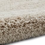 Roswell Stain Resistant Shaggy Rug - Image 26