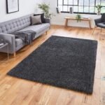 Roswell Stain Resistant Shaggy Rug - Image 37