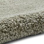 Roswell Stain Resistant Shaggy Rug - Image 59