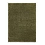 Roswell Stain Resistant Shaggy Rug - Image 106