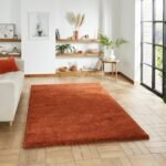 Roswell Stain Resistant Shaggy Rug - Image 116