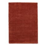 Roswell Stain Resistant Shaggy Rug - Image 115
